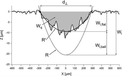 Comparative Analysis of Error Sources in the Determination of Wear Volumes of Oscillating Ball-on-Plane Tests